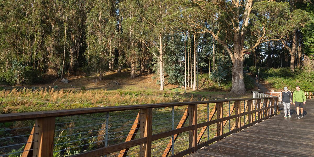 Bridge in the Tennessee Hollow Watershed