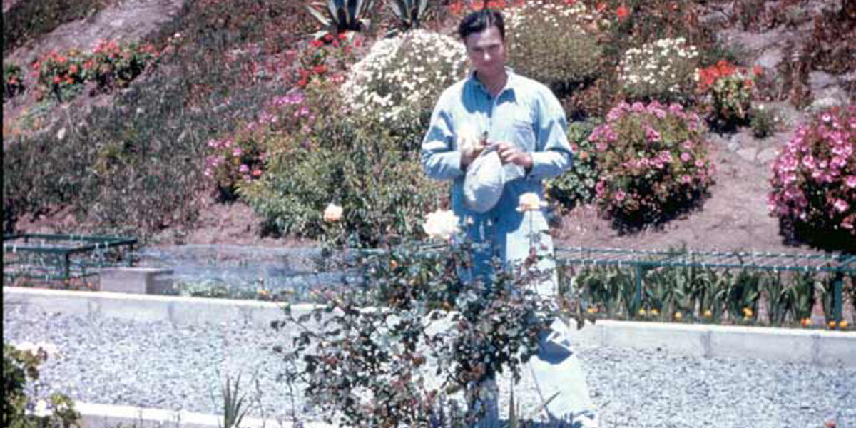 Alcatraz inmate standing in the garden with rose bushes, historic photo