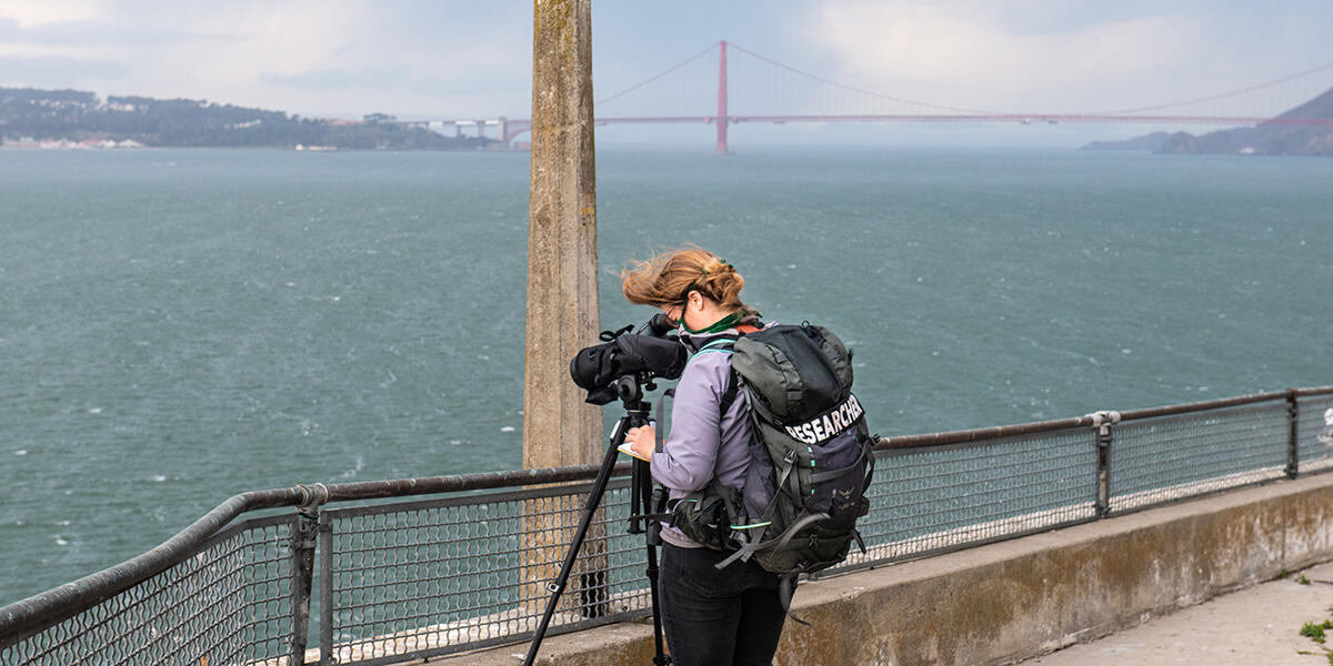 A bird researcher on Alcatraz Island.