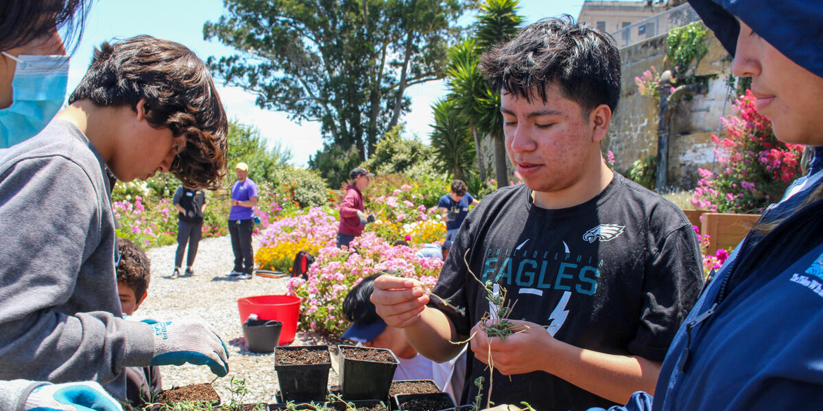 Youth program participants prepare saplings for planting at the Gardens of Alcatraz