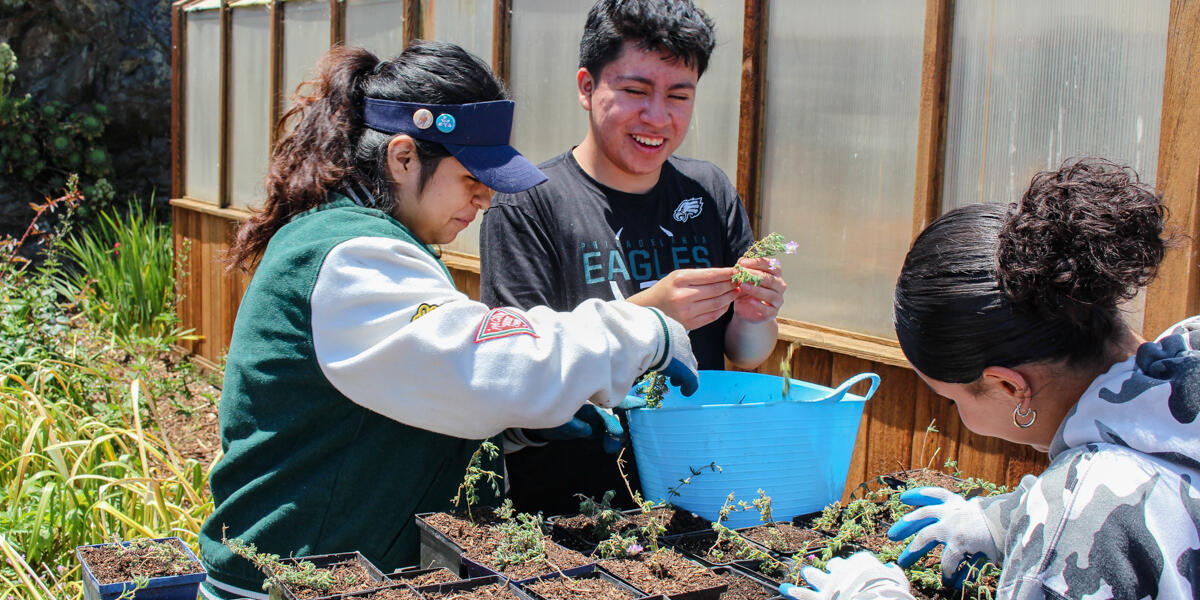 Smiling Crissy Field Center youth program participants pot saplings at Alcatraz Historic Gardens