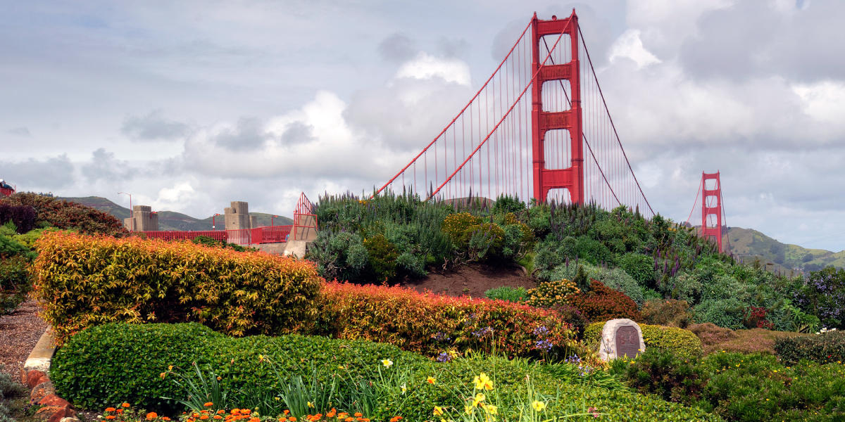 A variety of flora supplies a pleasing view