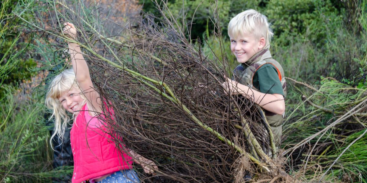 Teamwork among young volunteers