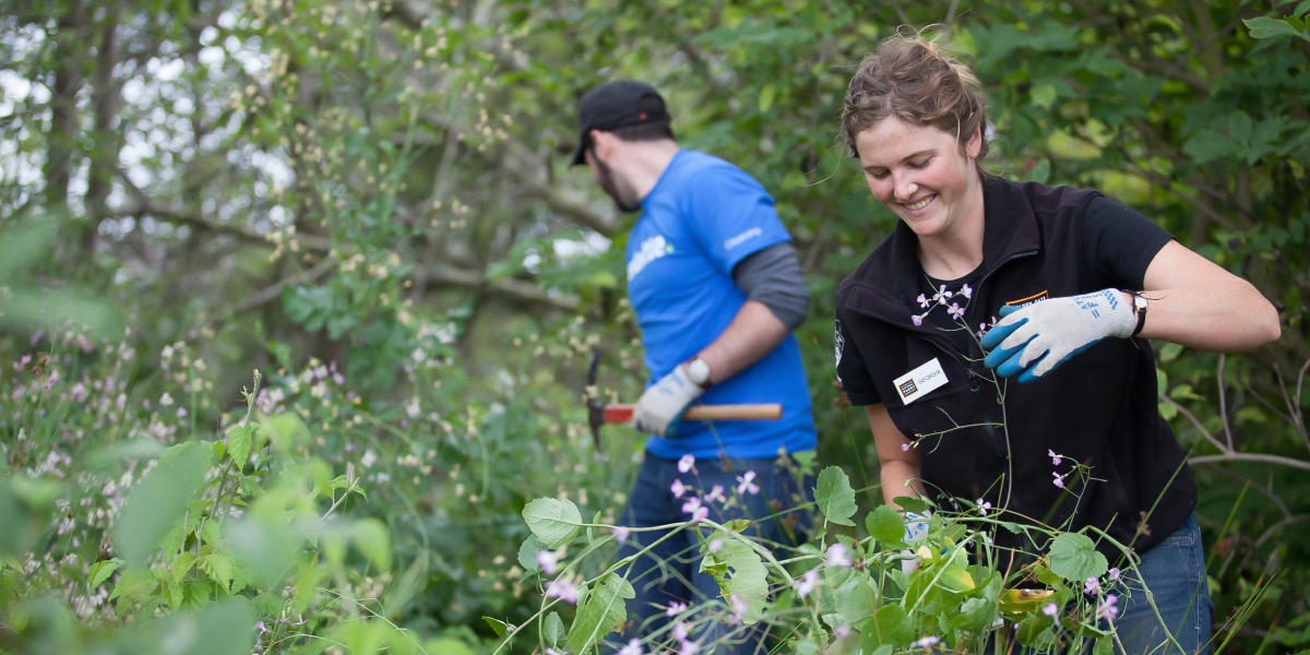 Volunteers among the flowers