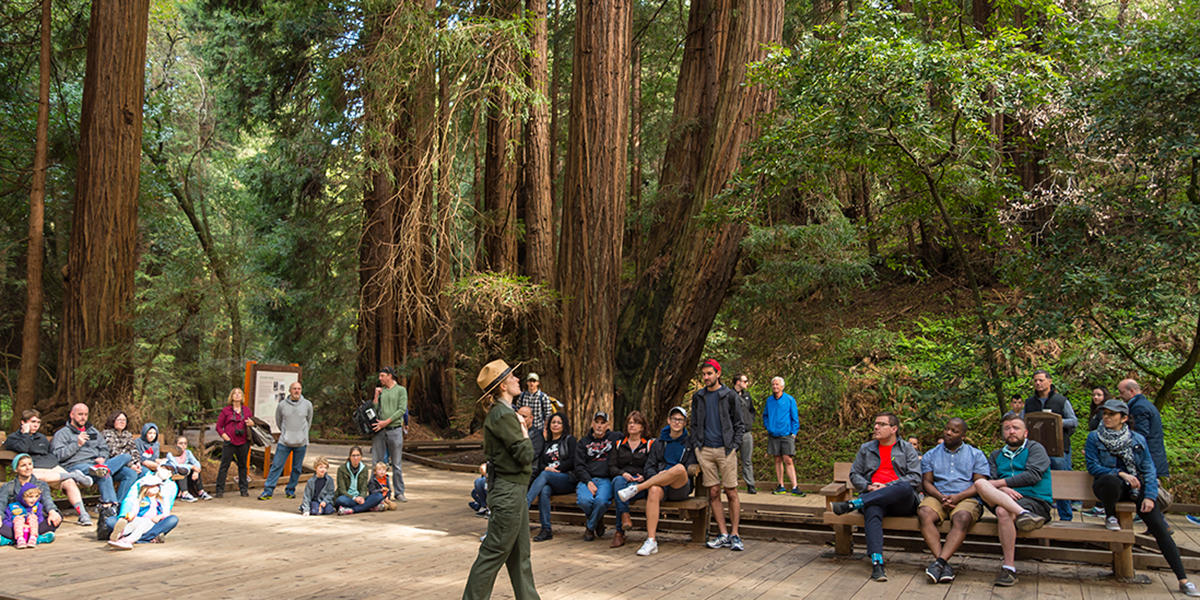 Muir Woods Tours Redwoods