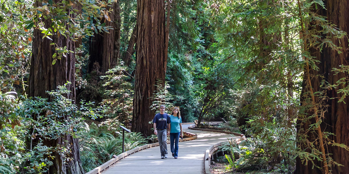 Muir Woods Hikers