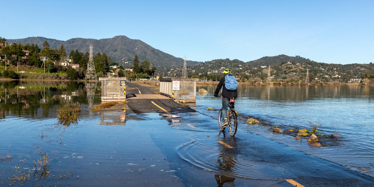 A cyclist rides over a flooded trail in Bothin Marsh, Marin. Mount Tam is seen in the background landscape.