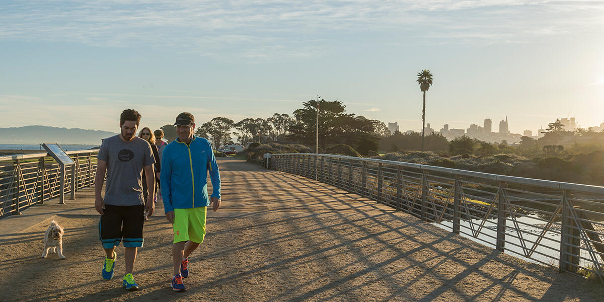 crissy field  