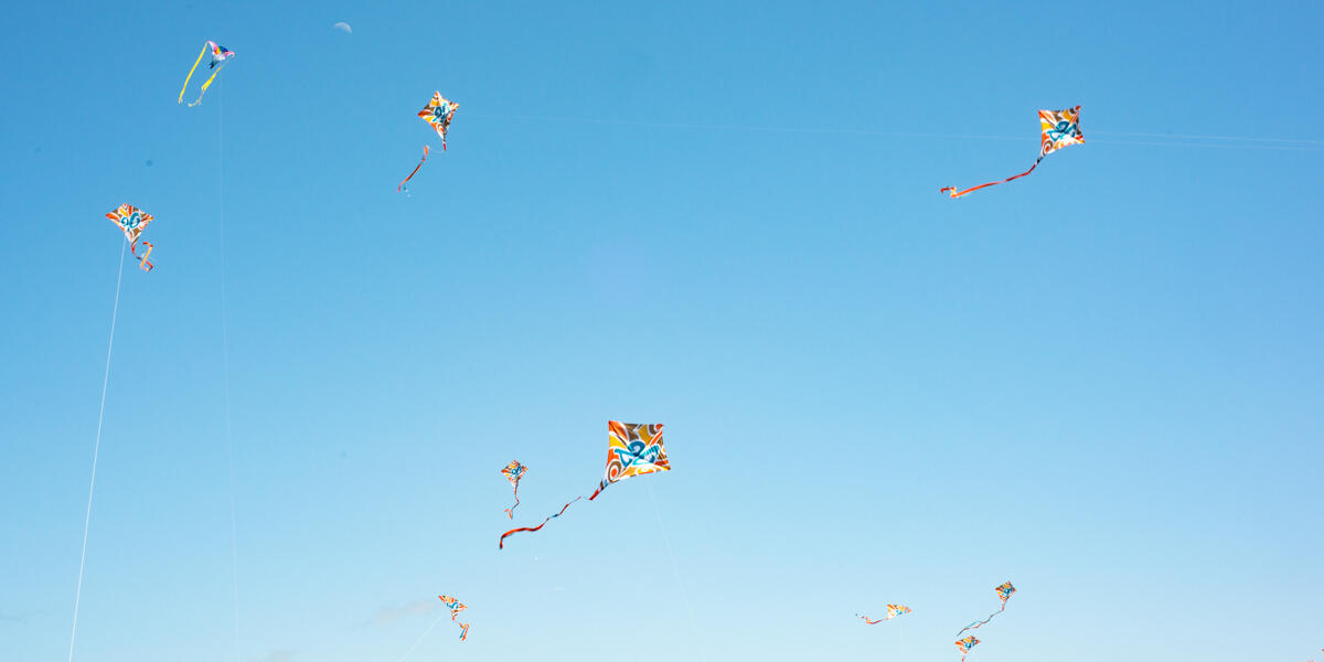 Crissy Field 20th anniversary kites fly against a backdrop of blue sky.