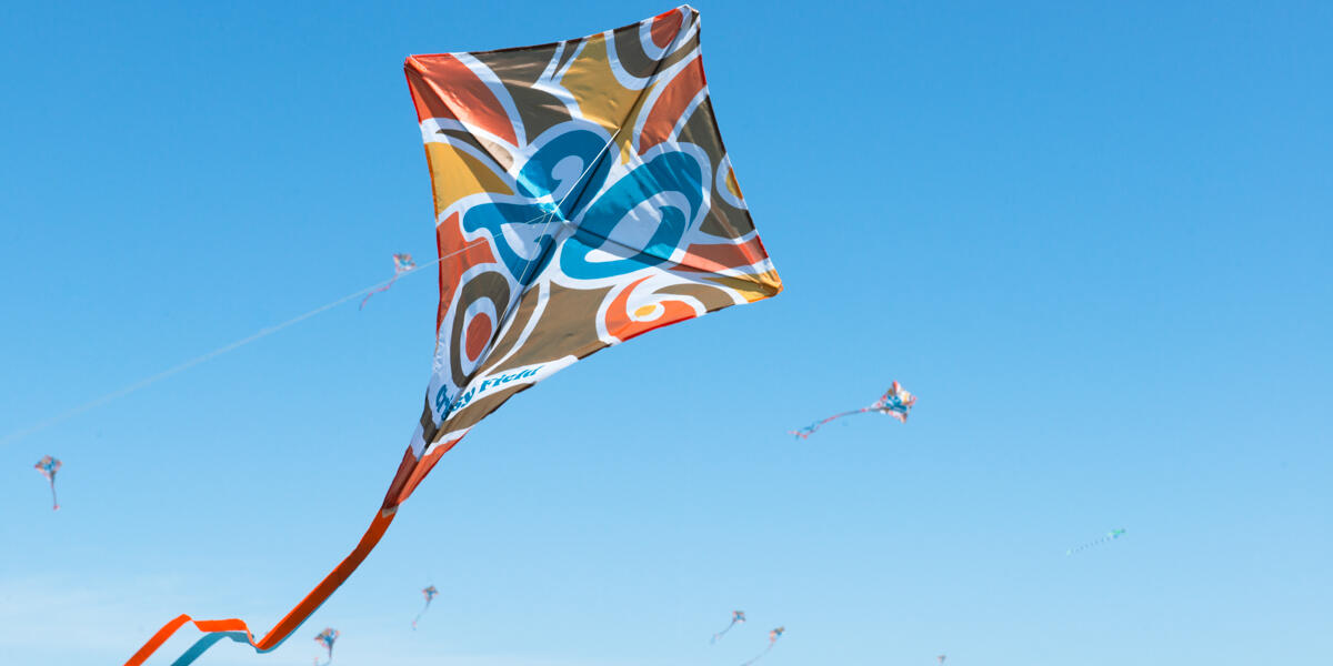 Crissy Field 20th anniversary kites flying in the blue sky.