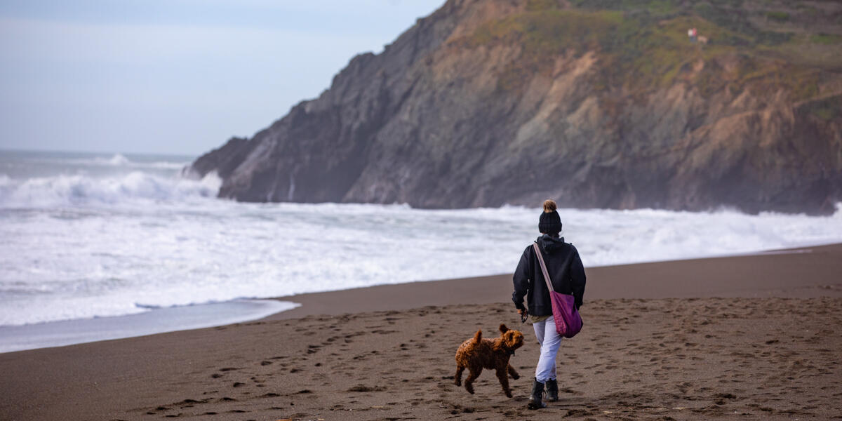 A park visitor walks their dog before the breaking surf at Rodeo Beach.