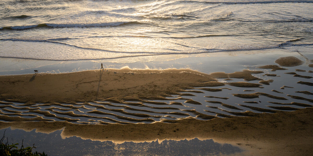 A park visitor and their dog walk the beach at fort funston