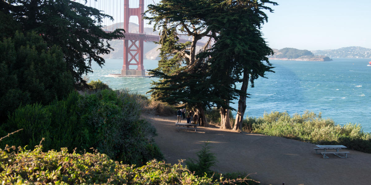 Golden Gate Bridge through the trees