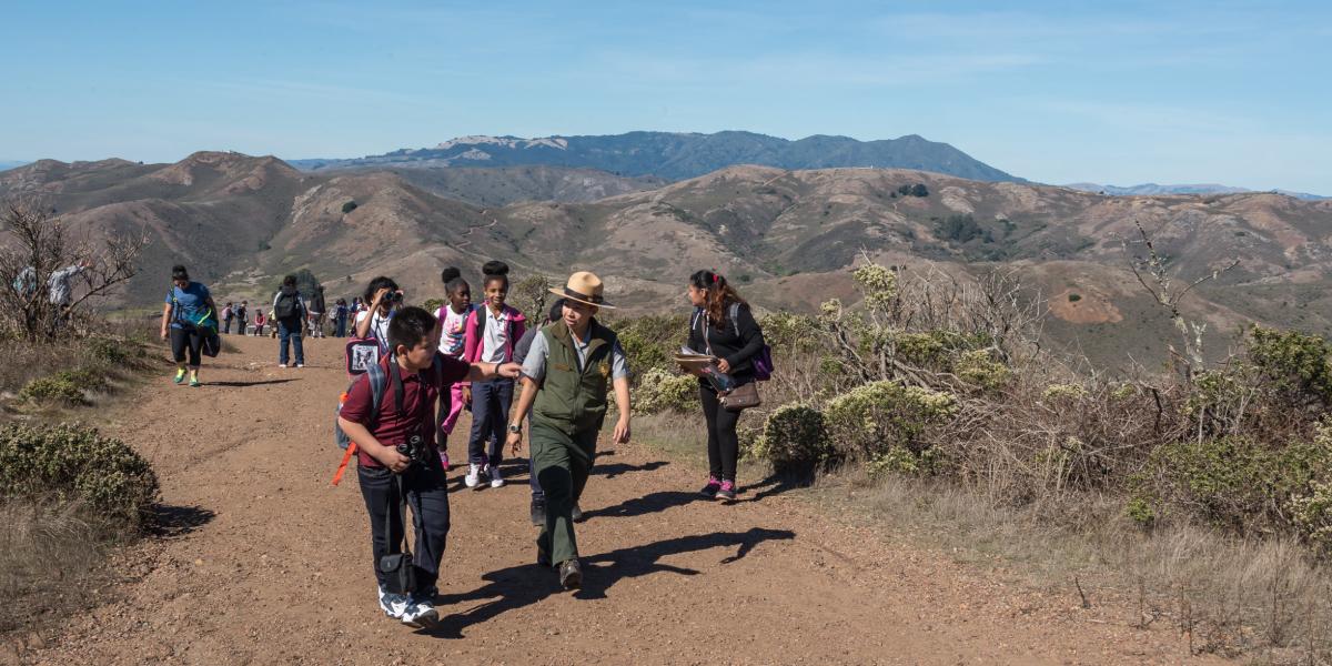 A group stroll while spotting hawks