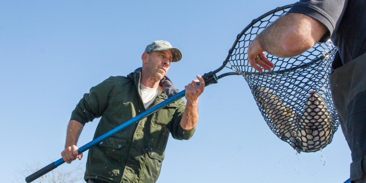 Coho salmon re-released in Muir Beach