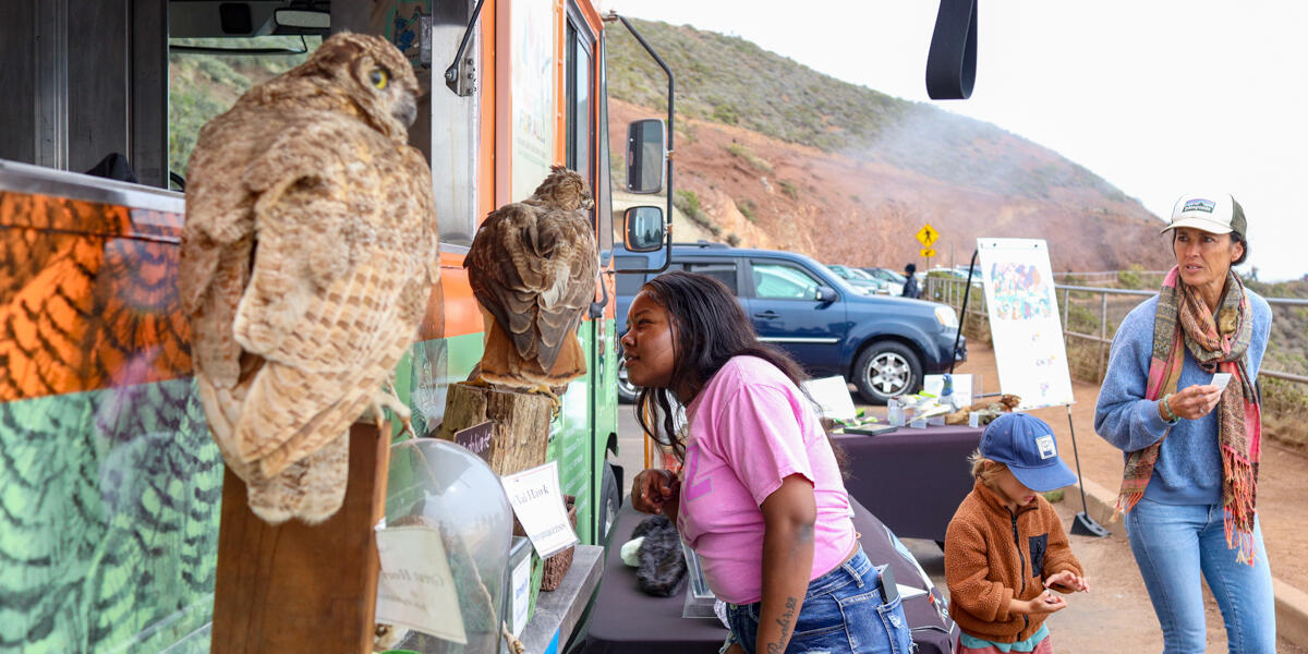 A young woman closely inspects a taxidermied hawk