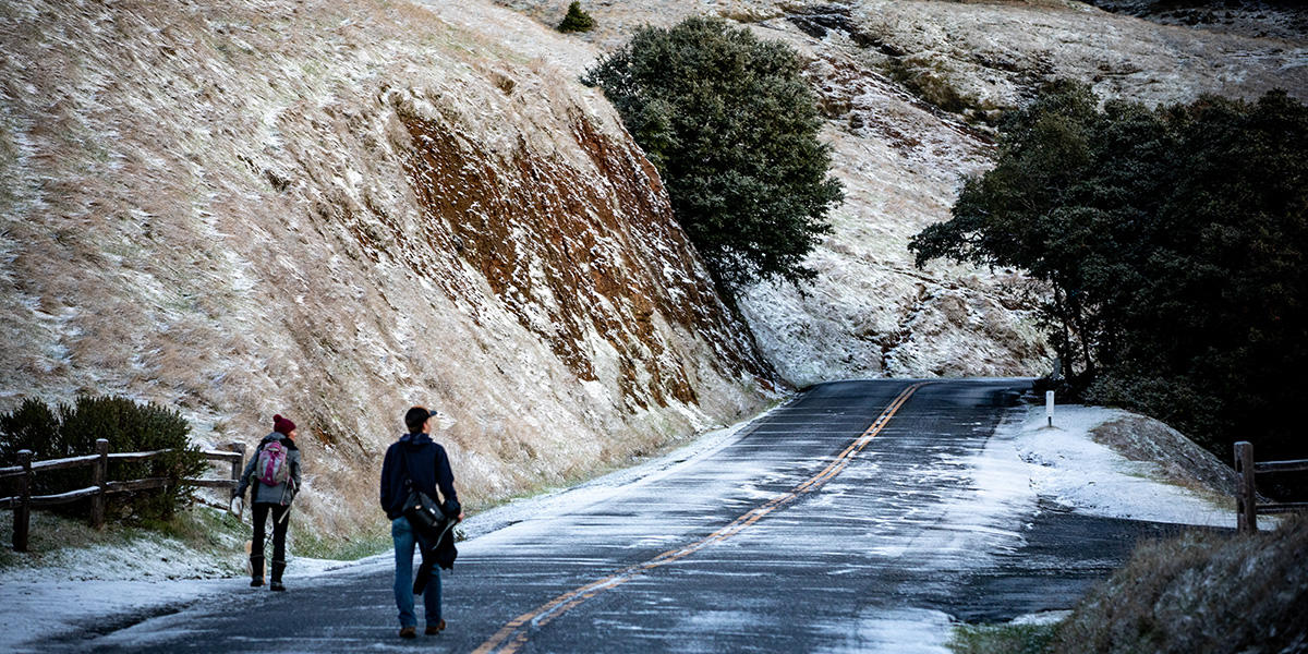 Snowy hillside near Rock Springs Trailhead on Mount Tamalpais.