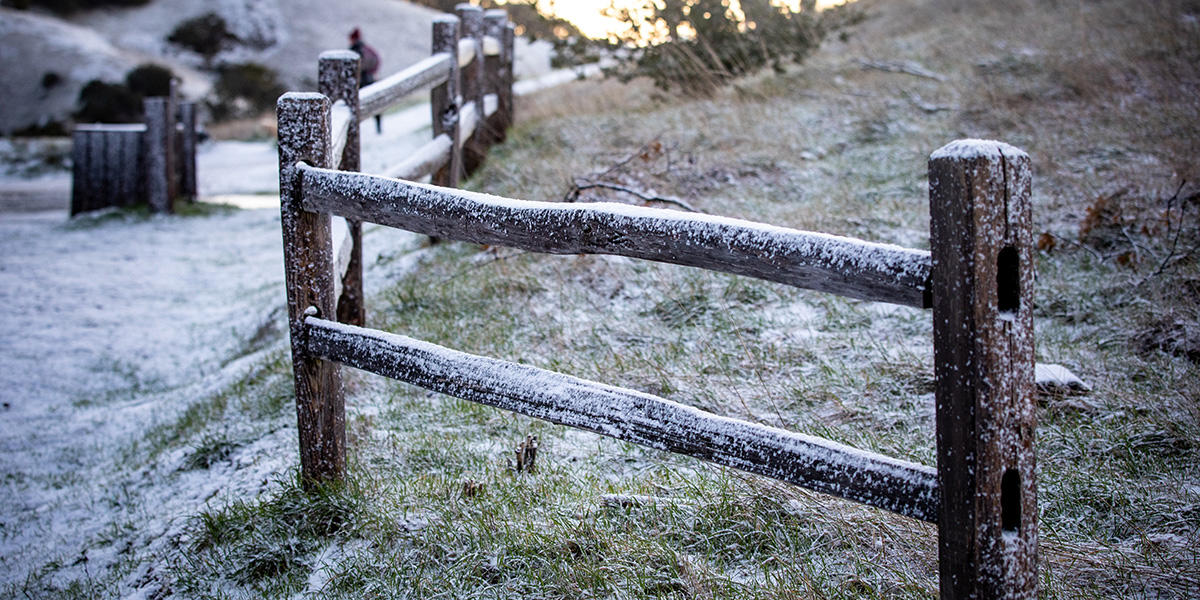 snow on rails