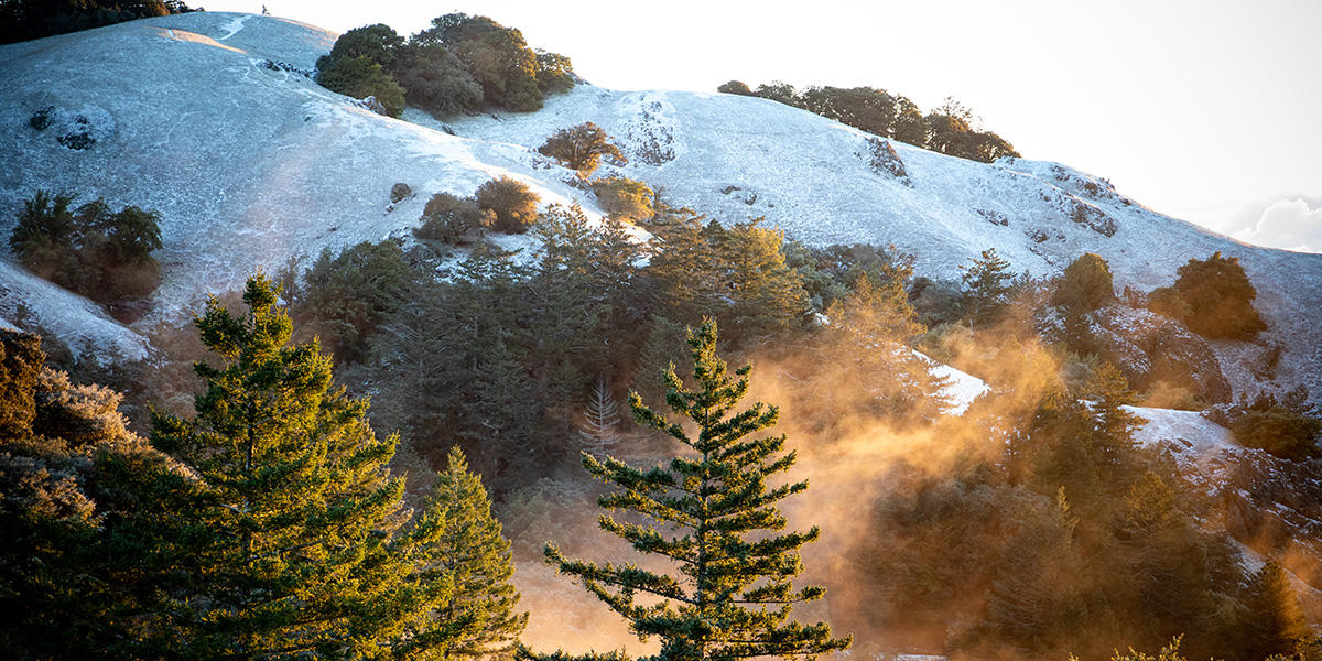 Snow and mist on Mount Tam