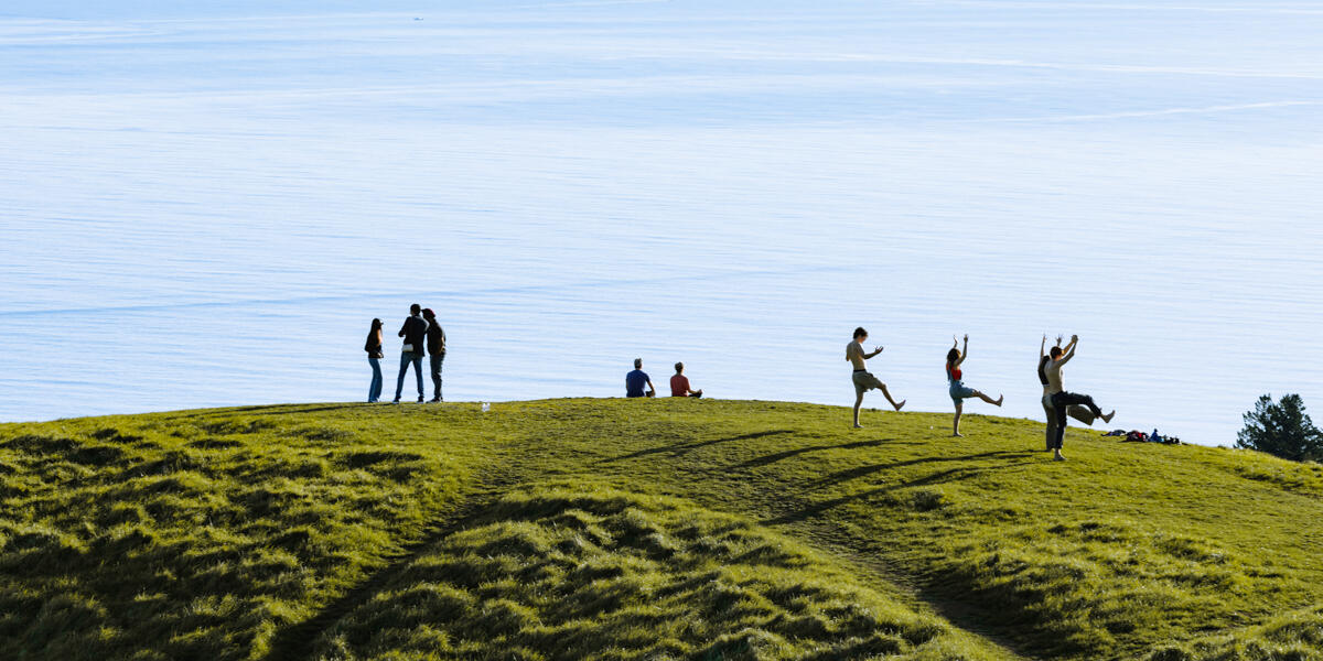 Park goers on a grassy hill of Mount Tam, meditating, doing yoga, and looking out at the bright view.