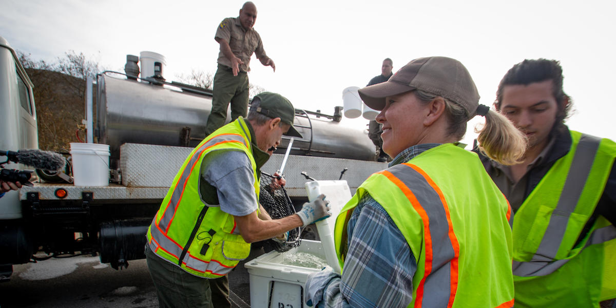 Research looks left as other scientist writes notes after receiving coho salmon.