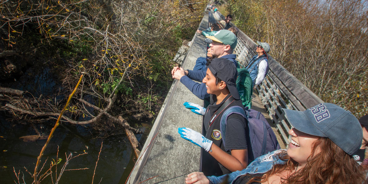 Group of smiling people look over edge of boardwalk at Muir Beach.