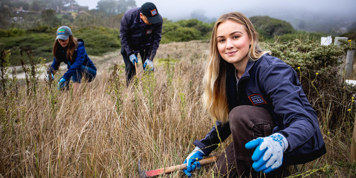 Parks Conservancy intern pulls invasive species at Muir Beach