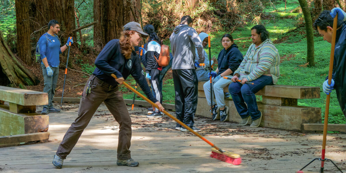 Volunteers at work cleaning the boardwalk at Muir Woods