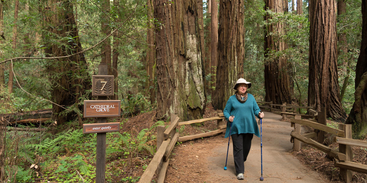 Muir Woods hiker