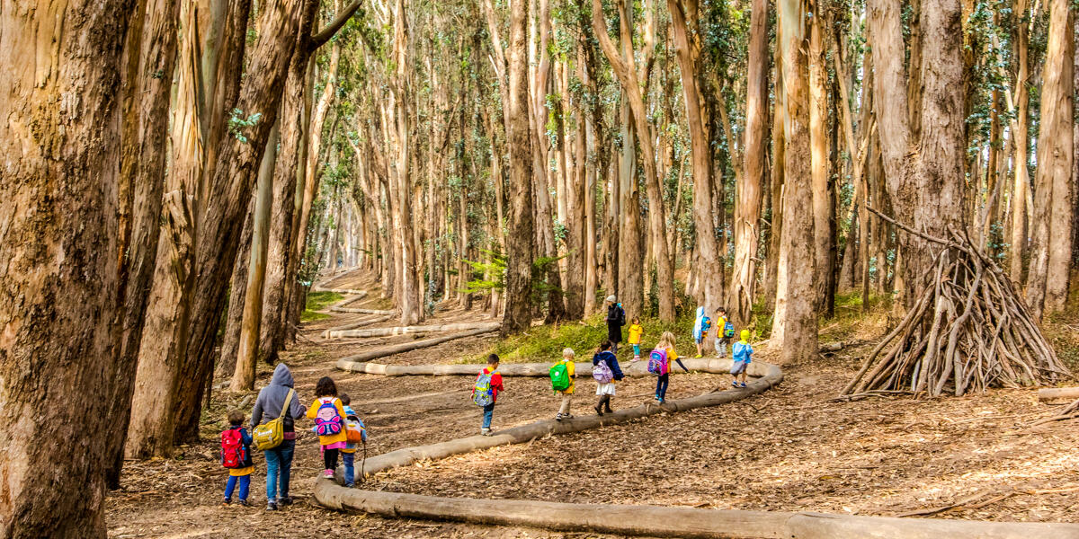 A group of children walk on a winding path of logs, an art installation by Andy Goldsworthy titled Woodline.
