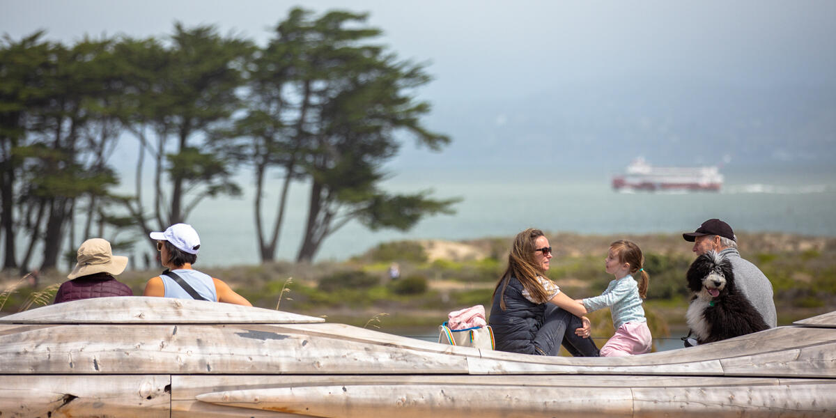 People and dogs lounge on the unique contoured benches of the Presidio Tunnel Tops.