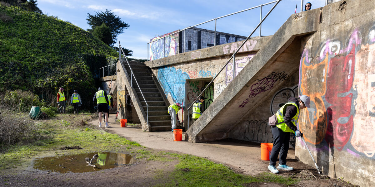 A group of volunteers cleaning up trash around Battery Boutelle in the Presidio