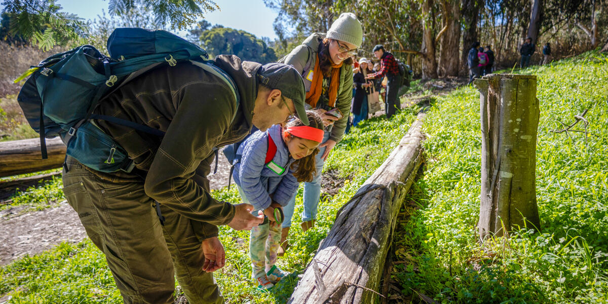 A family leans in to study mushrooms and fungus in the Presidio of San Francisco on a community science hike.