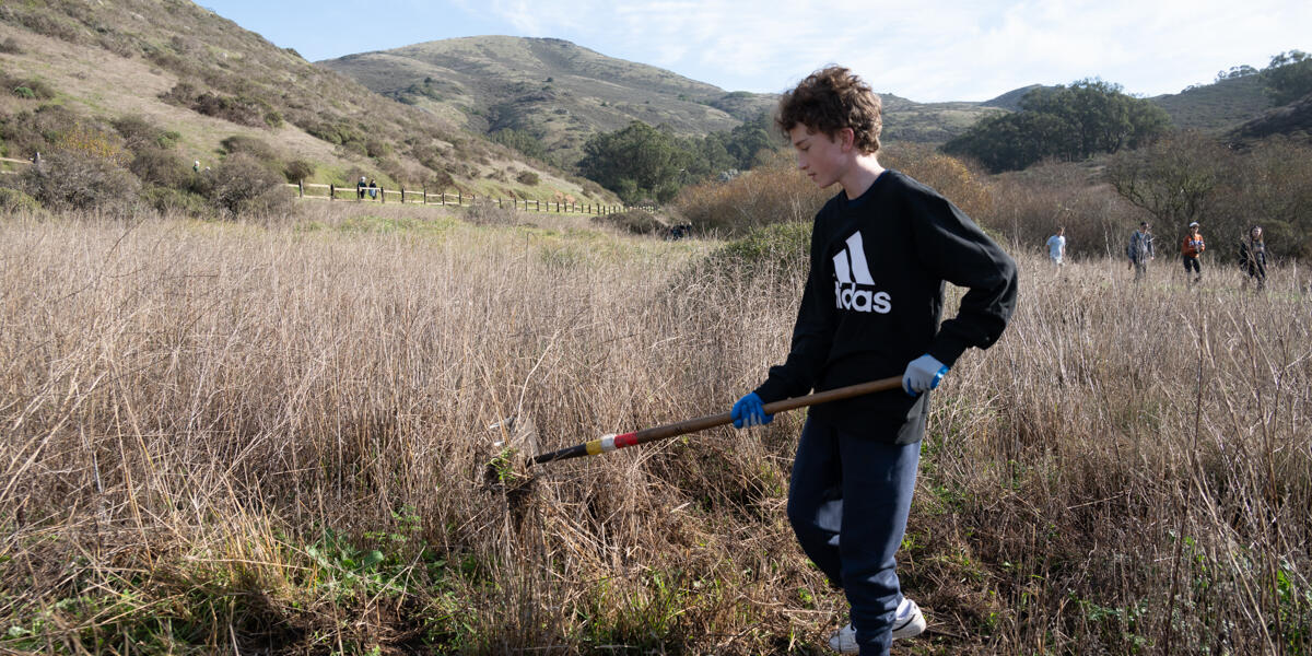 A volunteer using a garden tool to remove invasive plant species in Tennessee Valley