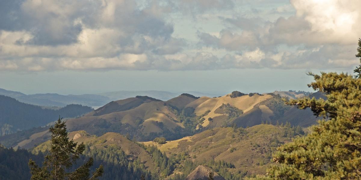 View from the Northside Trail on Mt. Tam