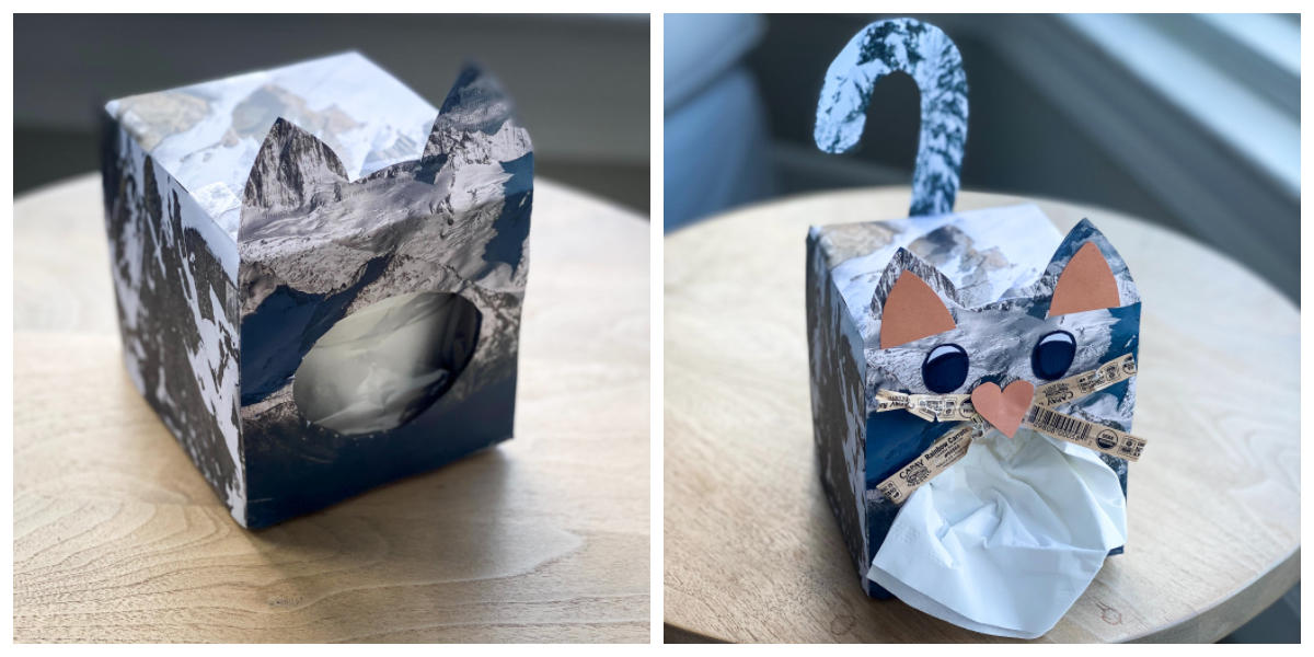 Tissue box with recycled paper covering its exterior and made to look like a bobcat in the Golden Gate National Recreation Area.