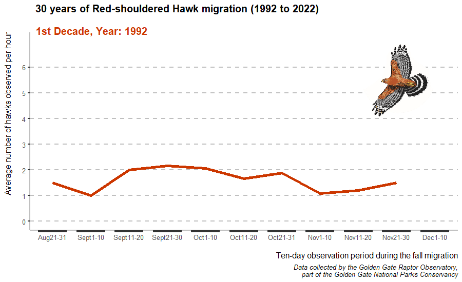 Animated graph showing Red-shouldered Hawk counts year by year 1992-2021