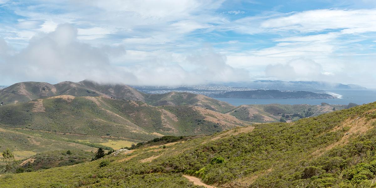 The Parks Conservancy has supported numerous projects in the Marin Headlands over its 40-year history.