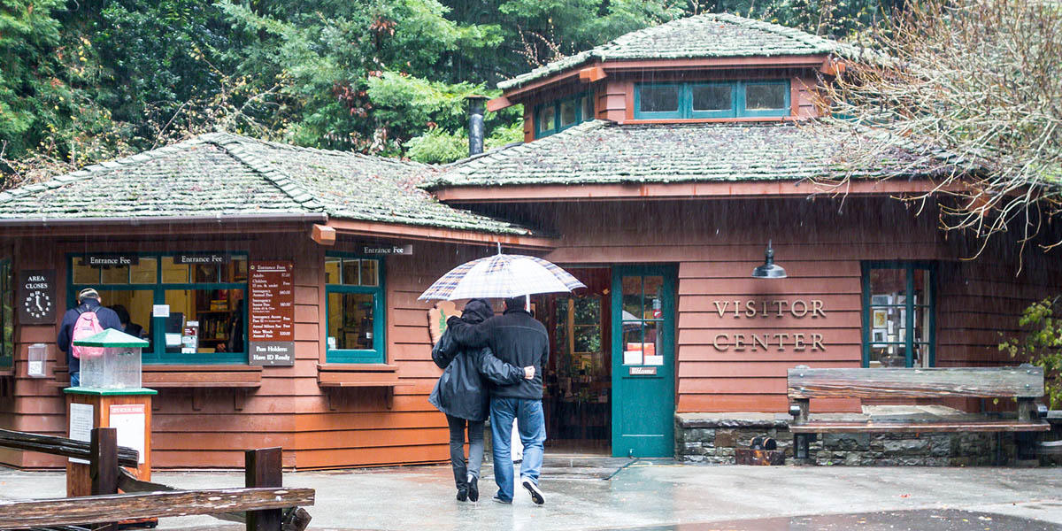 People head toward the Visitor Center under an umbrella on a rainy day