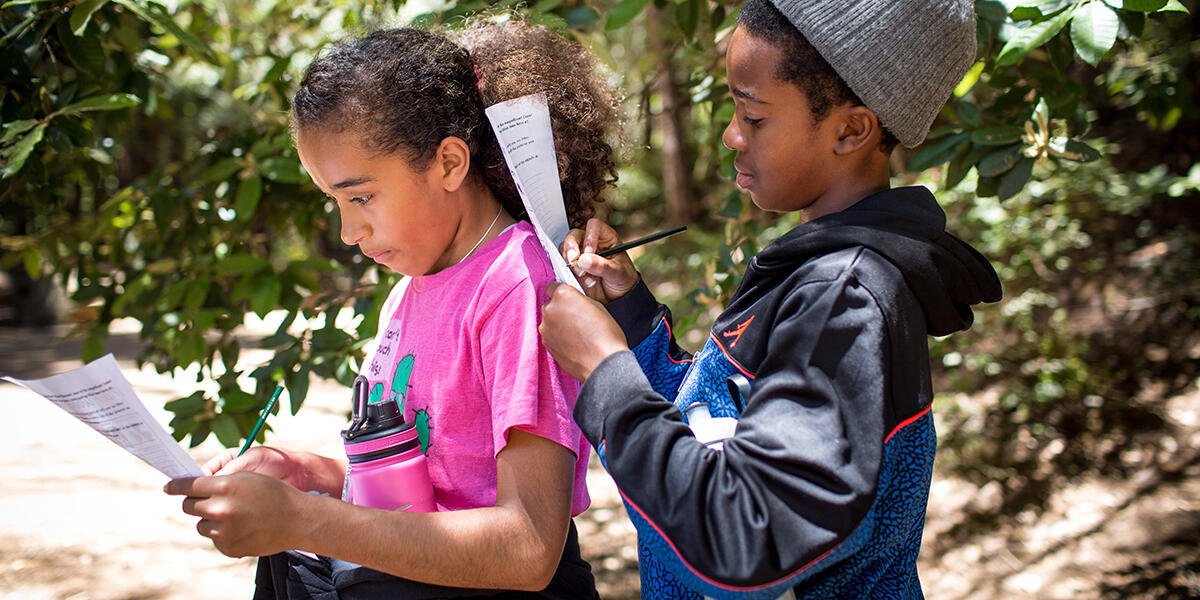 Children take a nature quiz during their hike with Latino Outdoors to Muir Woods National Monument.