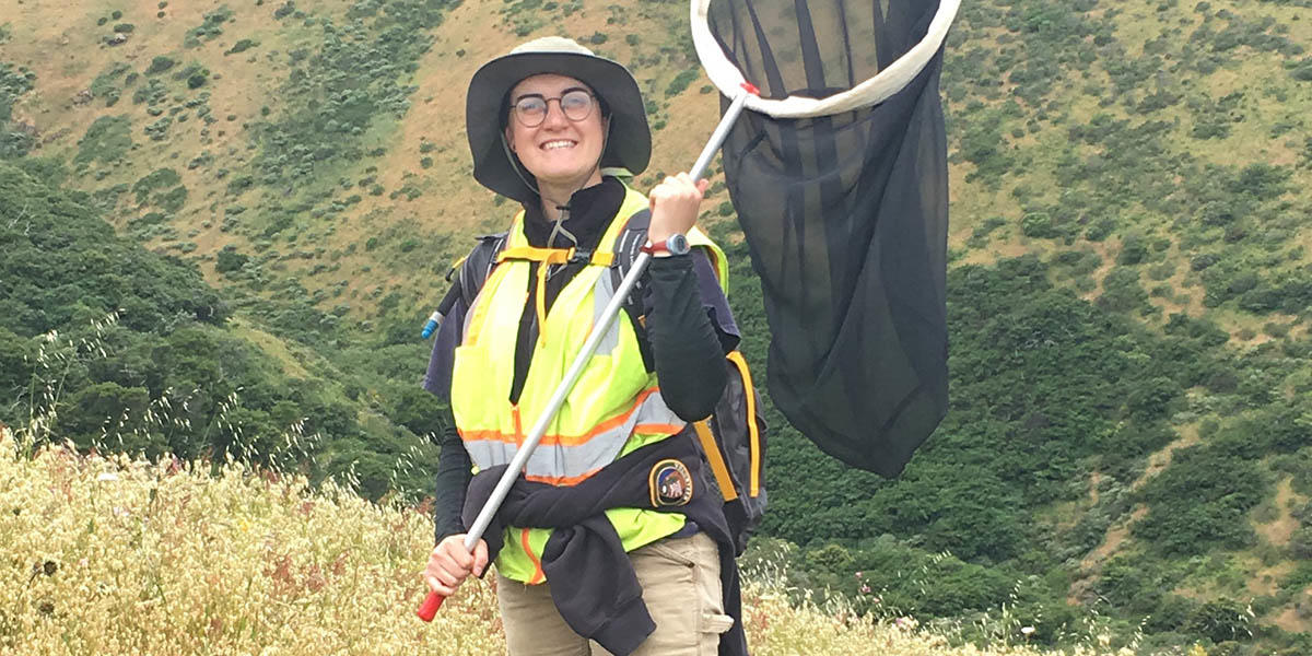 San Mateo Park Stewardship intern Laurasia Holzman Smith helps with the Mission blue butterfly translocation project.