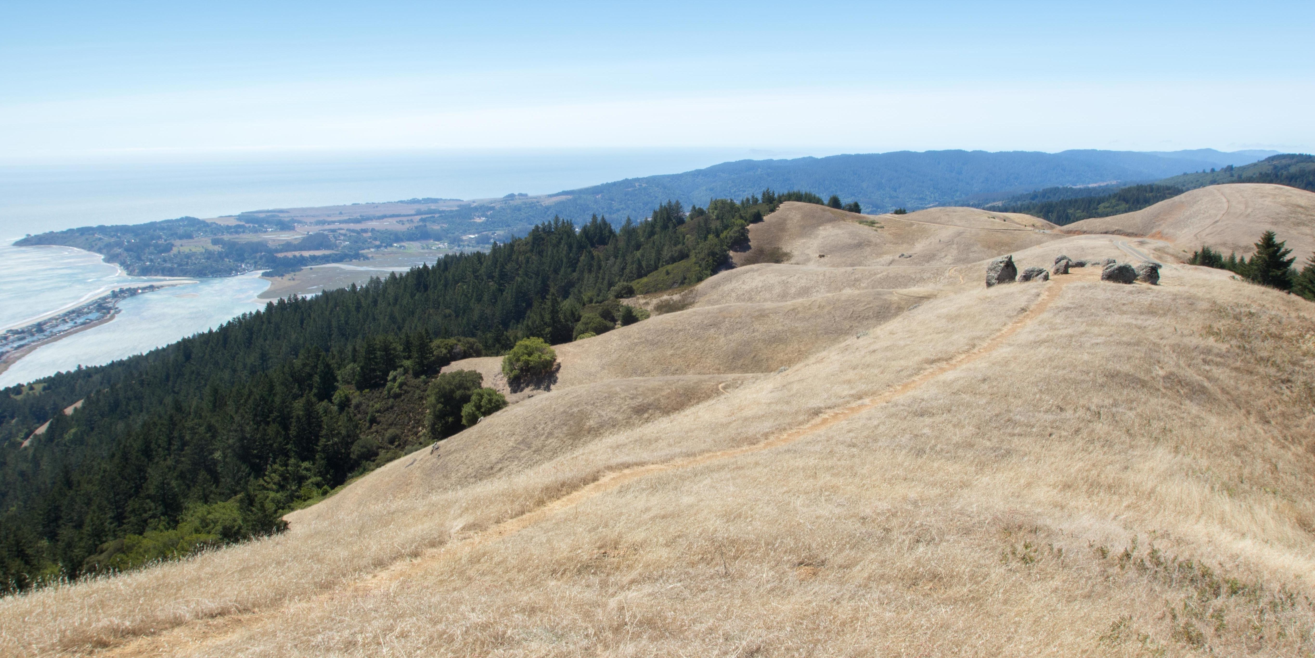 Trail atop Bolinas Ridge