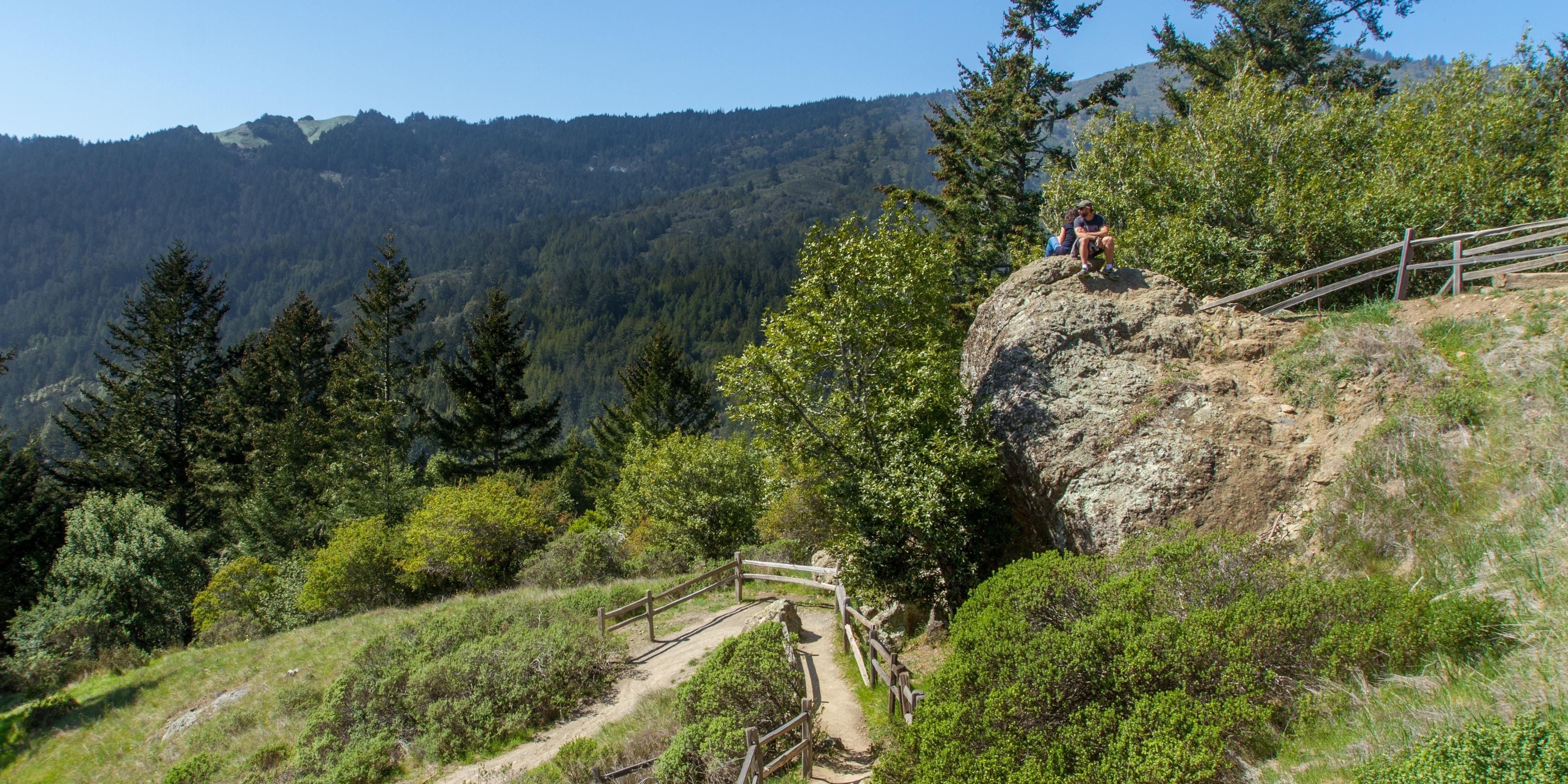 Panoramic Trail meets the Canopy View Trail at this rock