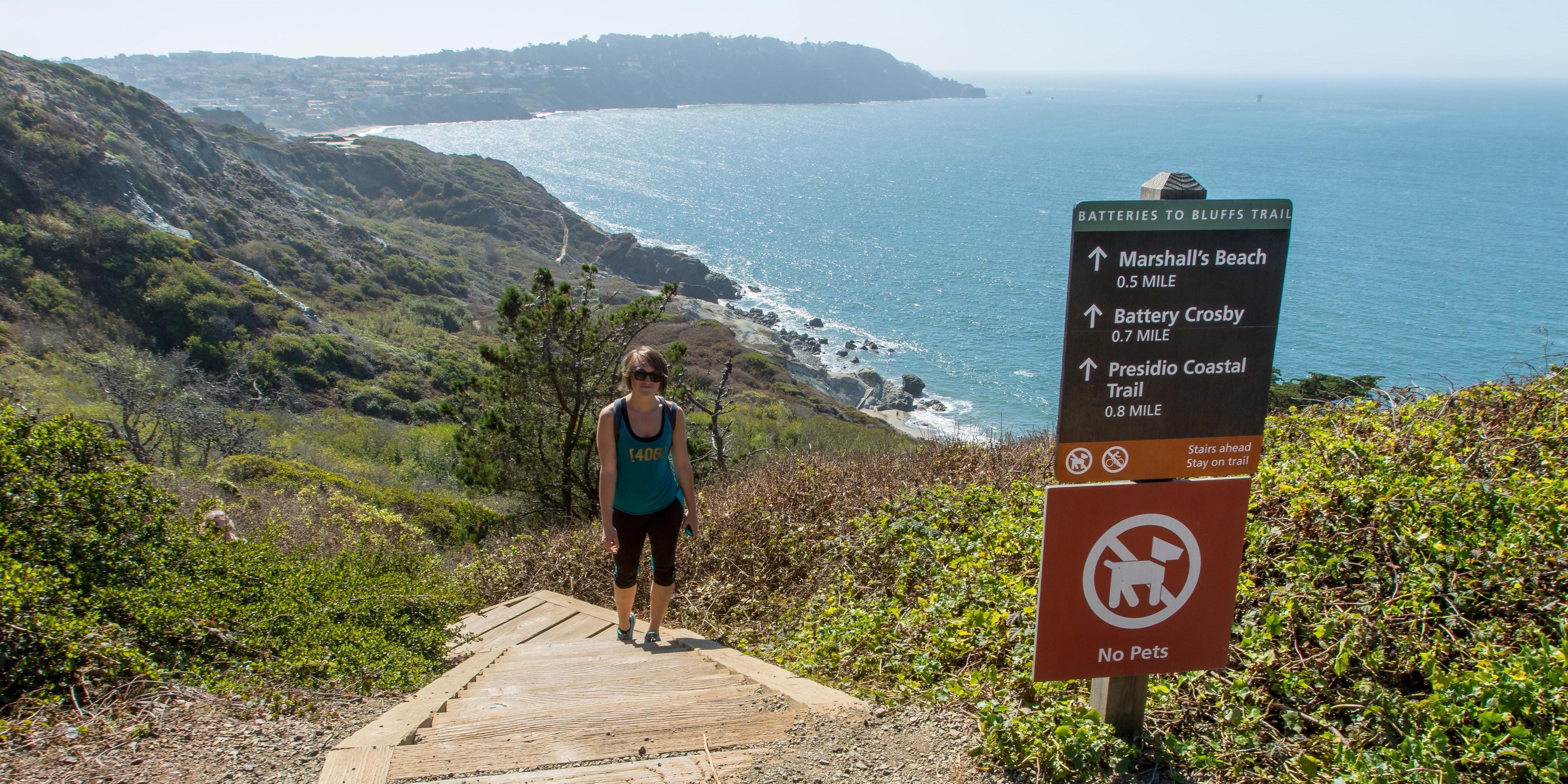 Box steps challenge hikers along the Batteries to Bluffs Trail