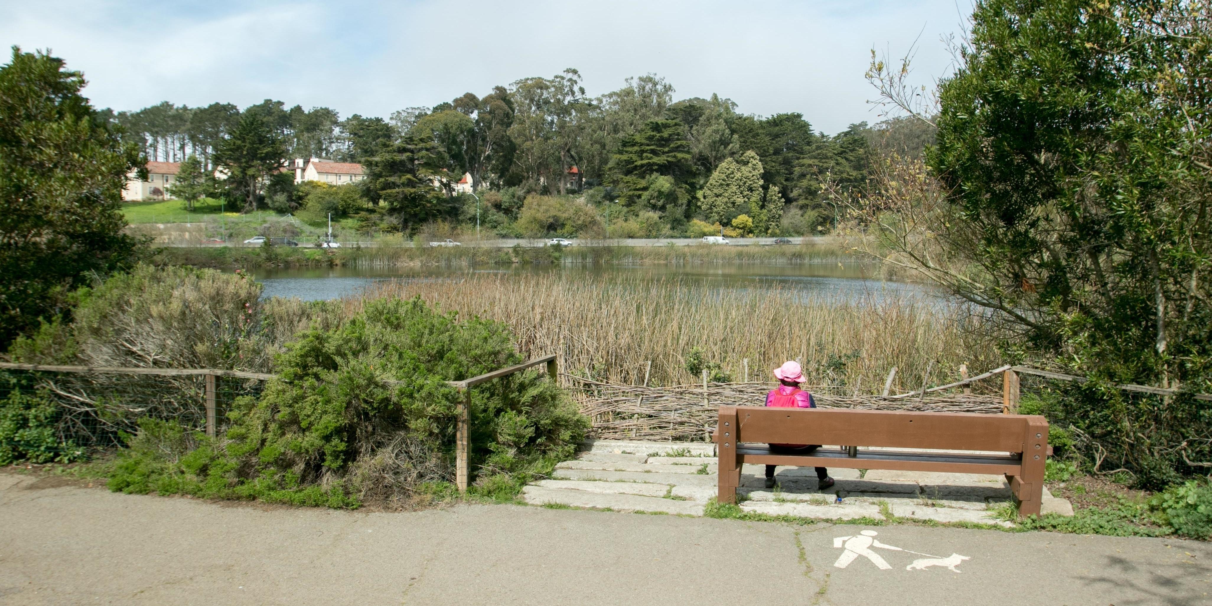 Mountain Lake in the Presidio