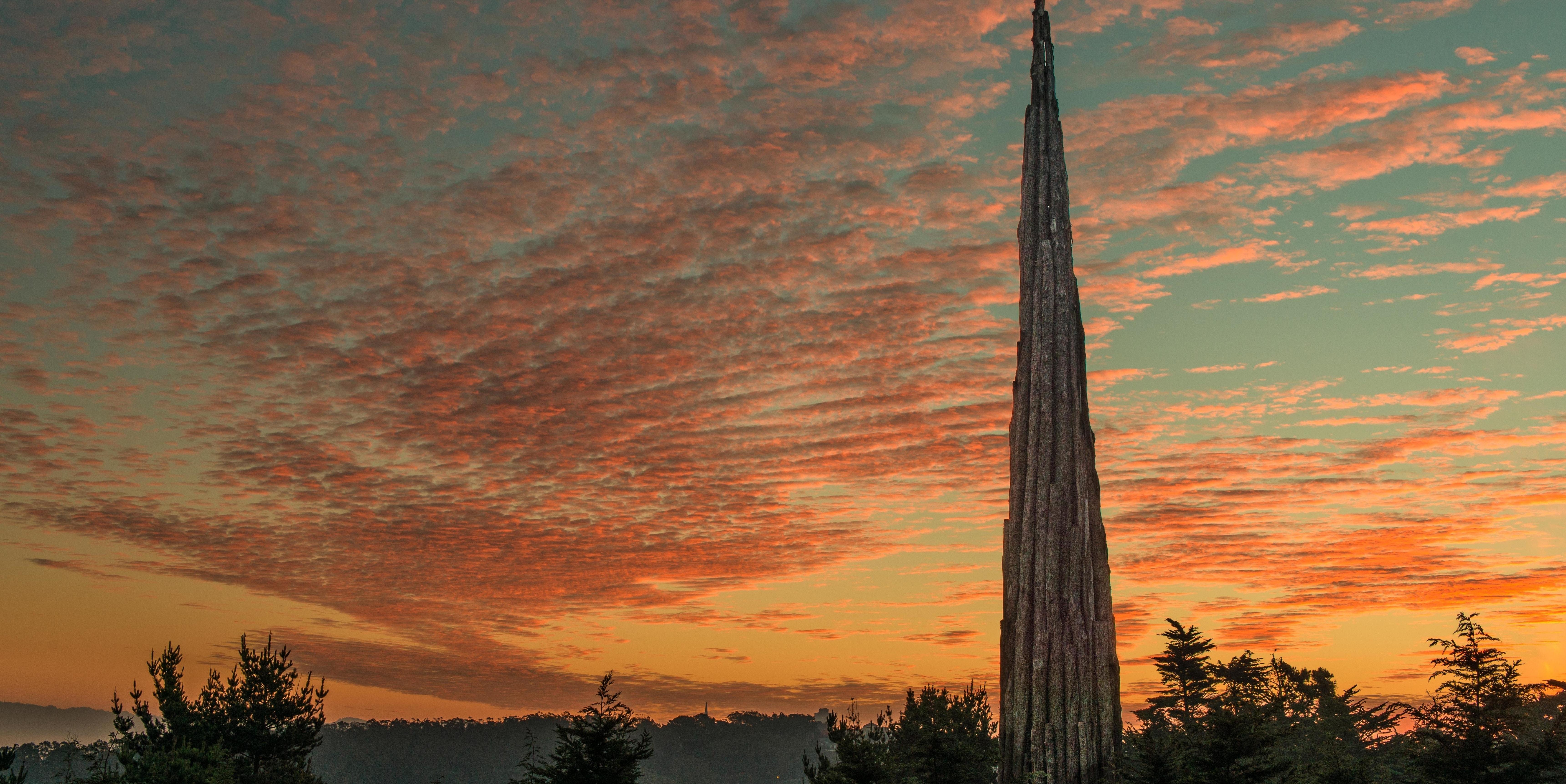 Andy Goldsworthy's "Spire" in the Presidio