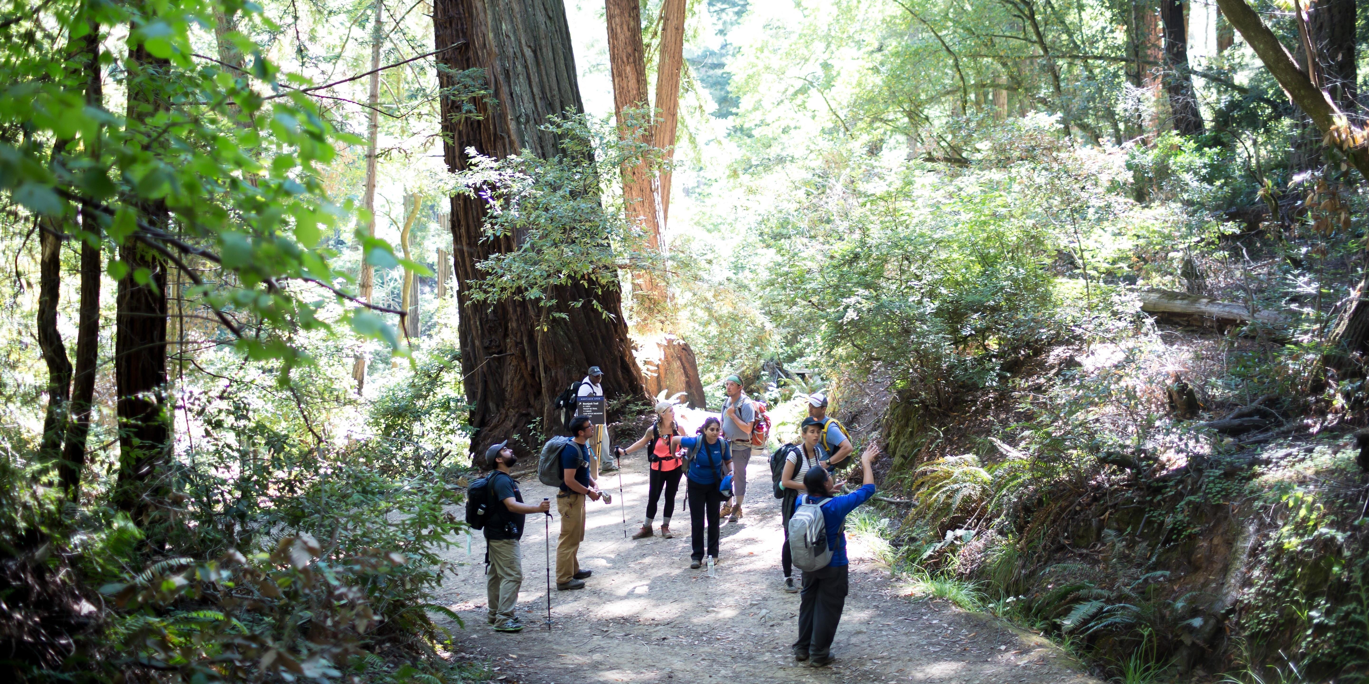 Hikers pause to enjoy the beauty of the Bootjack Trail