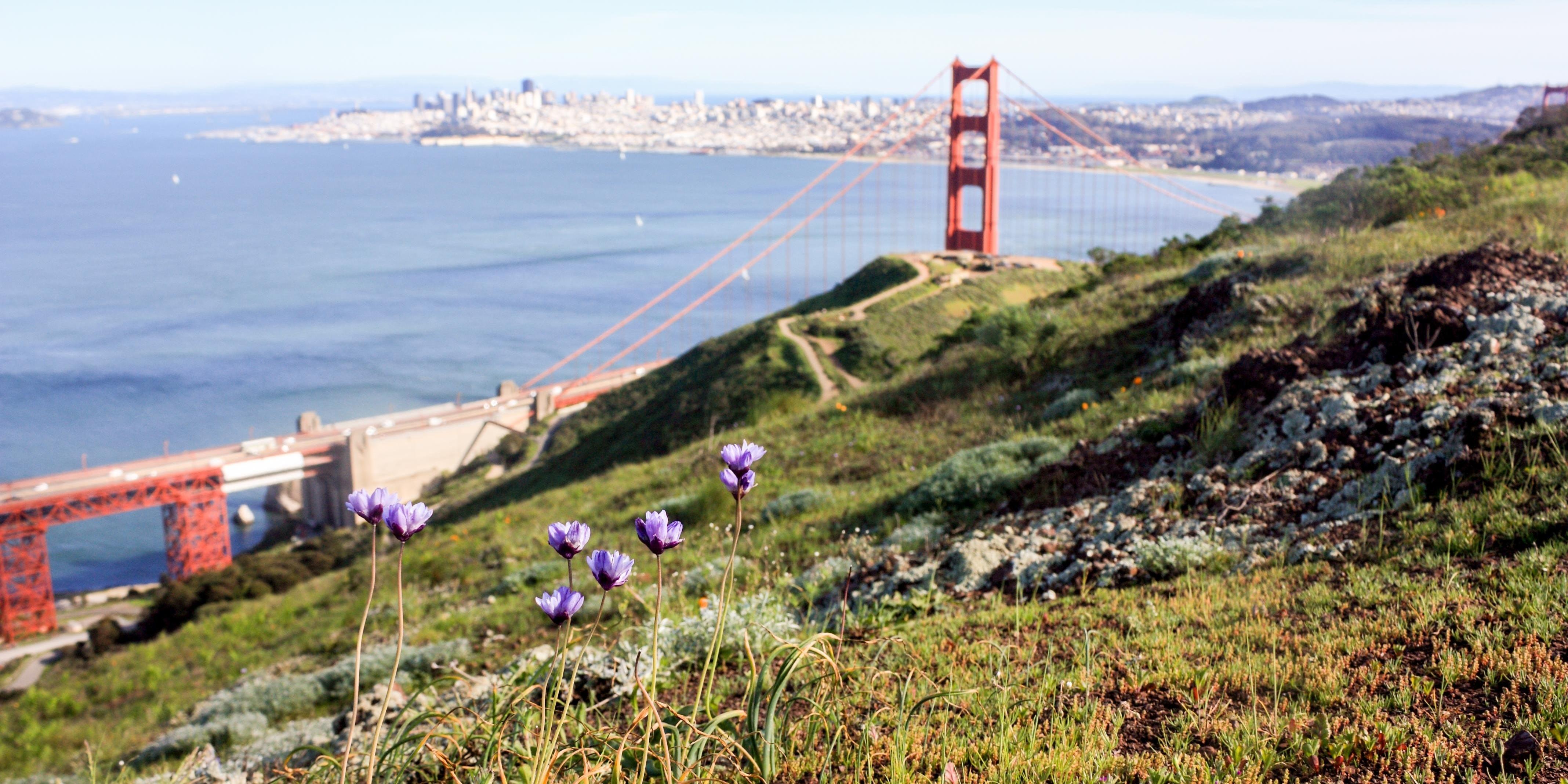 View of the Golden Gate from the Marin Headlands