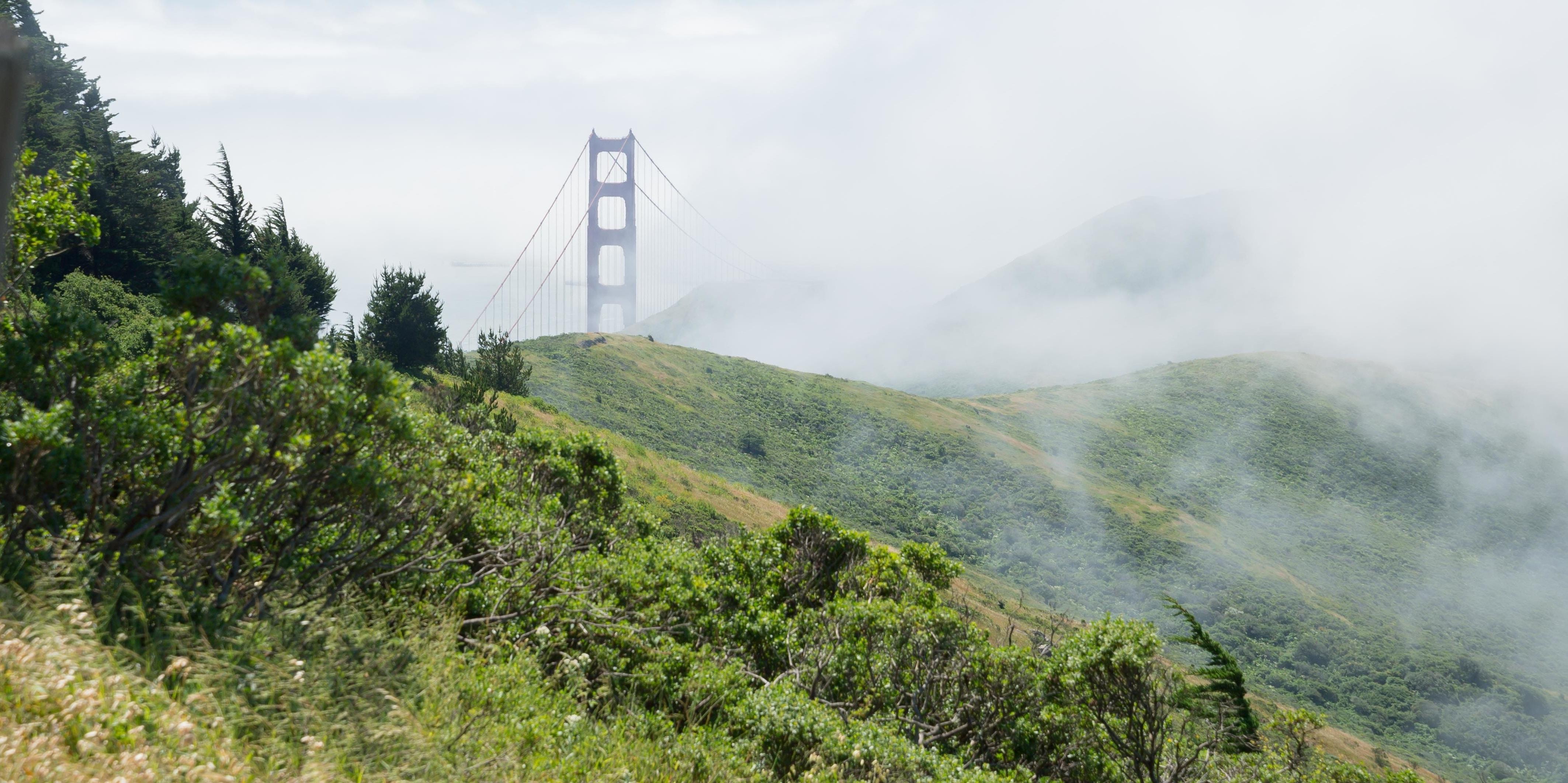 Low clouds cloak the Marin Headlands