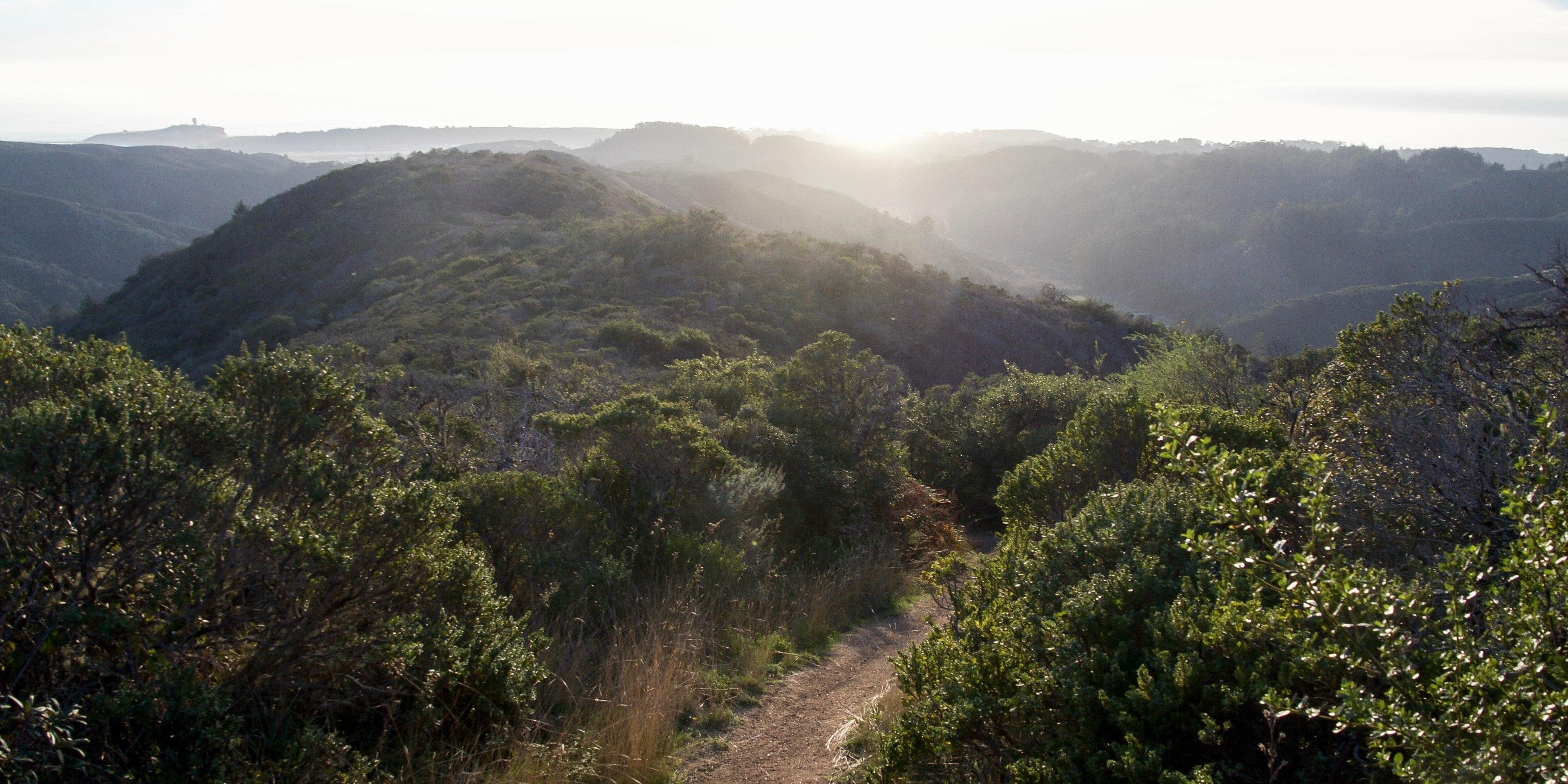 Path winding through Rancho Corral de Tierra